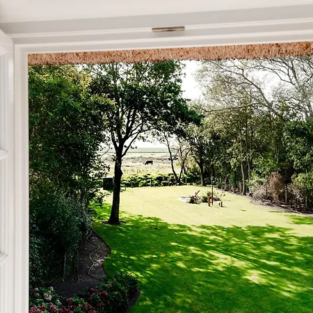 Litzkow 12003 * Morsum (Sylt)